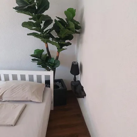 Sea And The Apartment *
